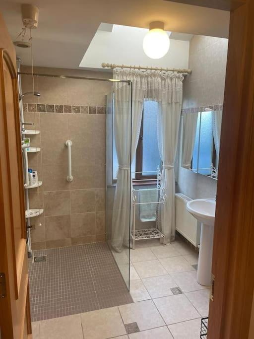 Borodino Studio Apartment Enniscorthy Bagian luar foto