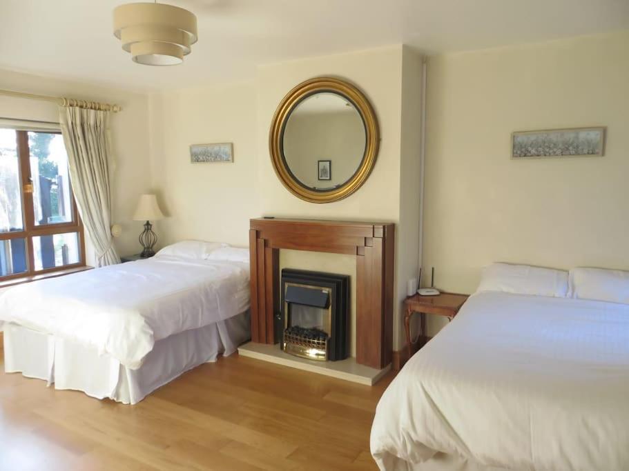 Borodino Studio Apartment Enniscorthy Bagian luar foto